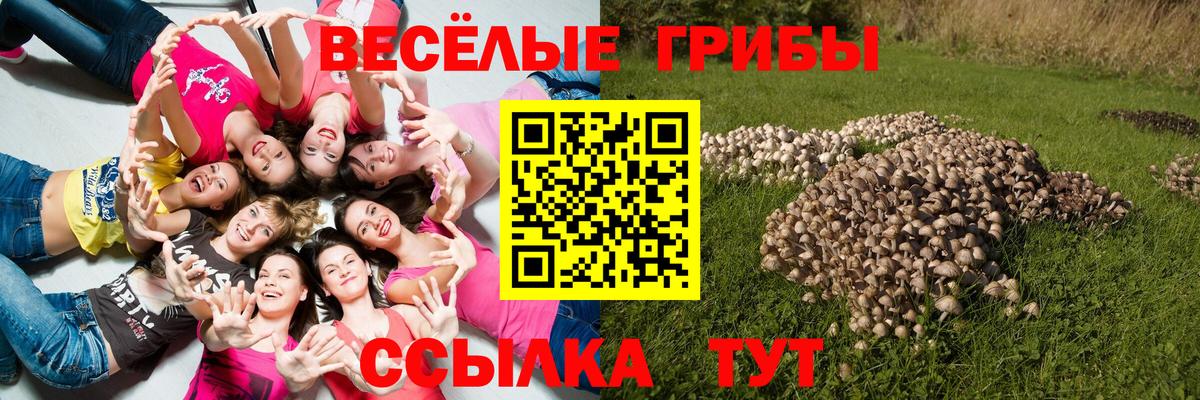 Салават  Псилоцибиновые грибы Psilocybe  Галлюциногенные грибы мицелий  купить   Вход с VPN 
